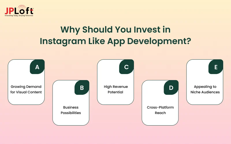 Why Should You Invest in Instagram Like App Development_